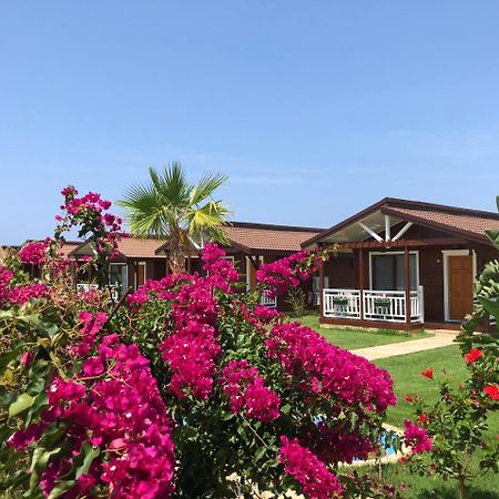 Sedir Park - Beach Bungalow Kargicak  Buitenkant foto