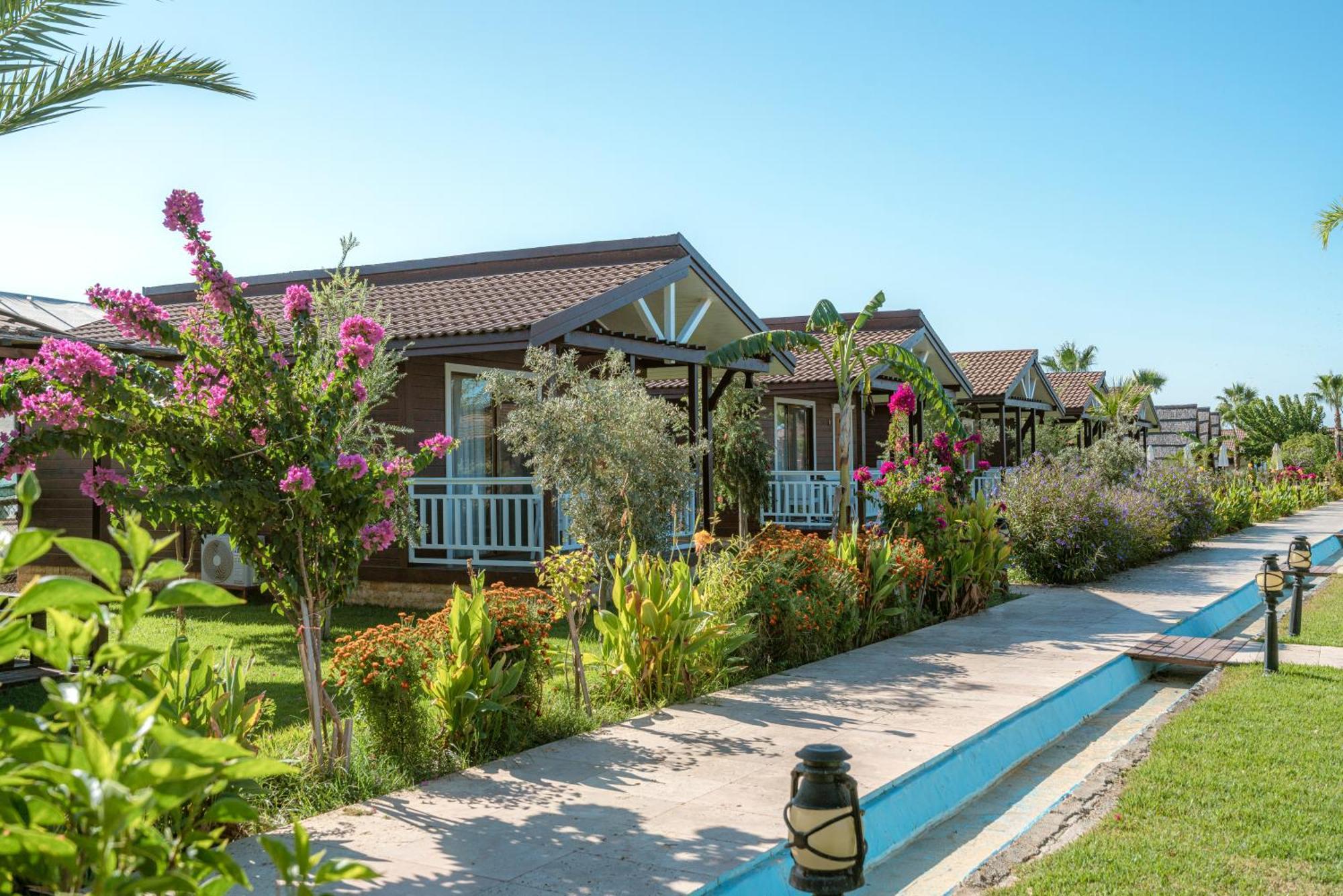 Sedir Park - Beach Bungalow Kargicak  Buitenkant foto