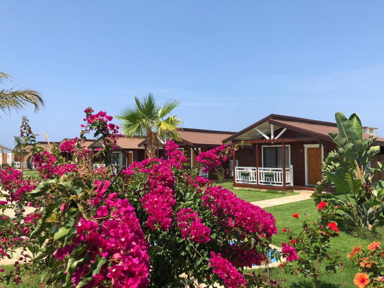 Sedir Park - Beach Bungalow Kargicak  Buitenkant foto